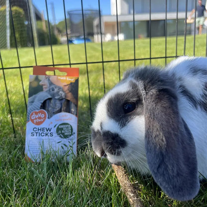 Duvo+ Chew Sticks Willow & Alfalfa 70g | Natural Chews for Rabbits & Small Animals