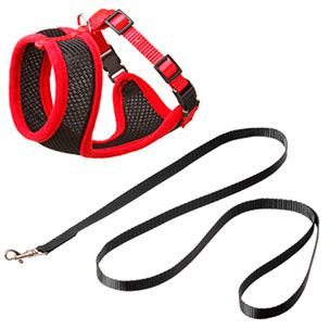Flamingo Harms Cat Harness & Leash Red & Black | Adjustable Safety Harness for Cats