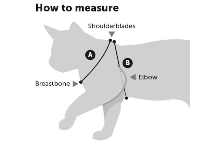 Flamingo Arwen Mouse Print Cat Harness & Leash | Adjustable Cat Harness with Mouse Design