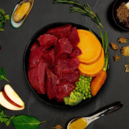 Canagan Beef Stew Wet Dog Food 400g