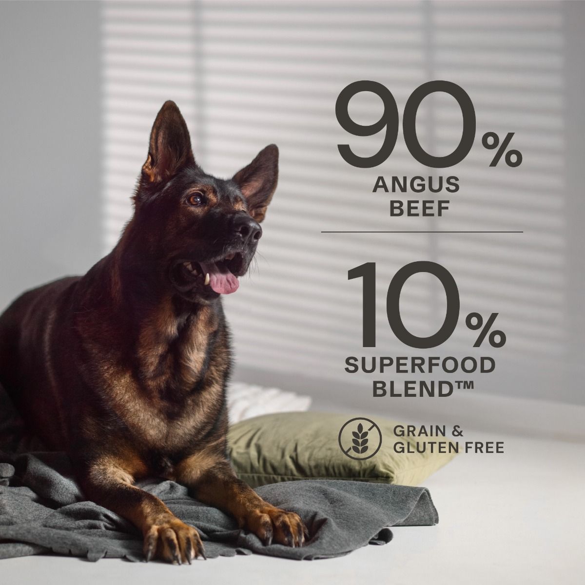AATU Angus Beef Wet Dog Food | 90% Beef | Superfood Blend | Grain-Free | 400g