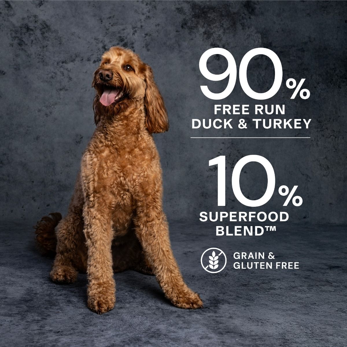 AATU Duck & Turkey Wet Dog Food | 90% Duck & Turkey | Grain-Free | 400g