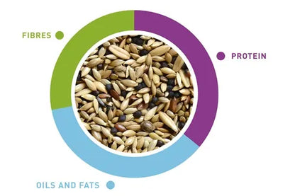 Padovan Naturalmix Canarini 1kg | Complete Feed for Canaries