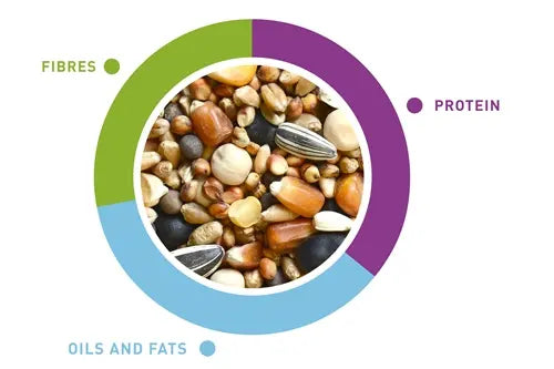 Padovan Naturalmix Colombi 5kg | Complete Grain Mix for Pigeons