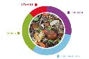 Padovan Grandmix Scoiattoli 750g | Complete Feed for Squirrels & Chipmunks