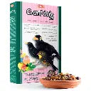 Padovan Granpatee Fruits 1kg | Complete Soft Food with Fruit for Birds