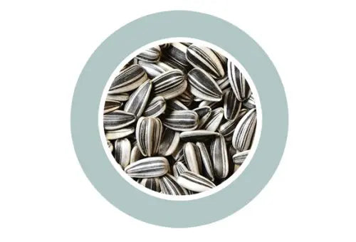 Padovan Sunseeds Medium 500g | Sunflower Seeds for Birds/Small Animals
