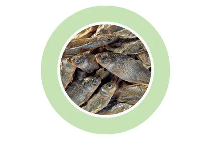 Padovan Fishes 160g | Dried Fish Food for Freshwater Turtles