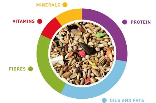 Padovan Grandmix Cardellini 800g | Premium Feed for Goldfinches
