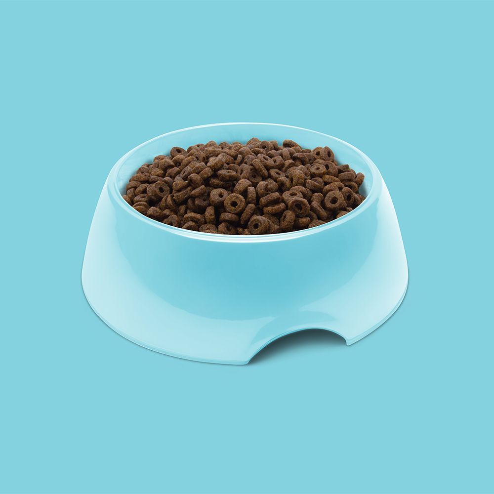 Symply Puppy Fuel Fresh Turkey All Breeds Dry Dog Food