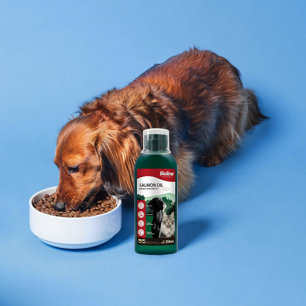 Bioline Norwegian Salmon Oil 250ml