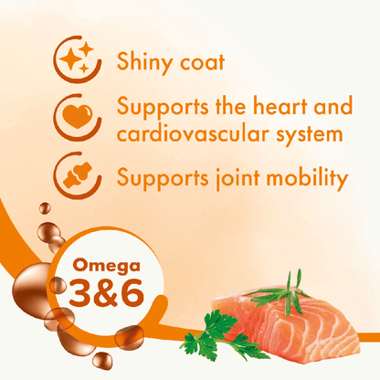 Bioline Norwegian Salmon Oil 250ml