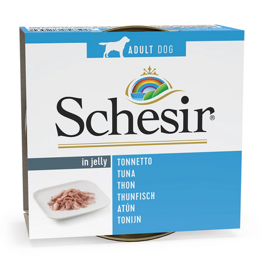 Schesir Dog Wet Food in Jelly Tuna | 56% Tuna | Complementary Food | Adult Dog | 150g