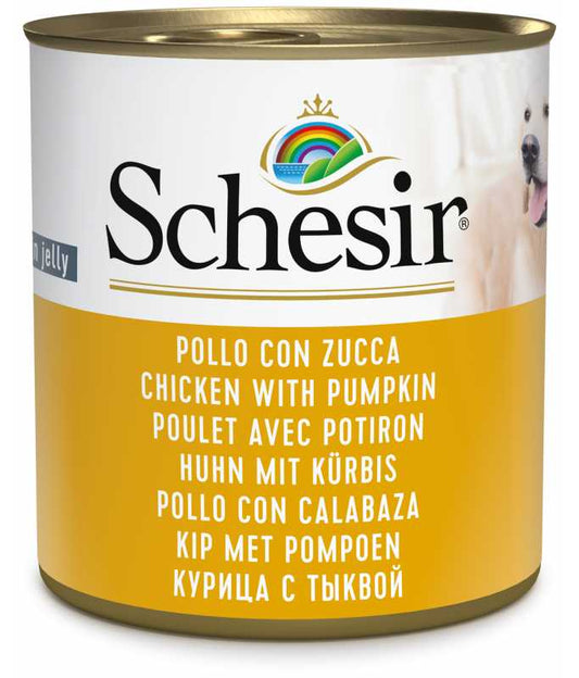 Schesir Dog Wet Food Chicken with Pumpkin | Adult Dog | In Jelly | Complementary | 285g