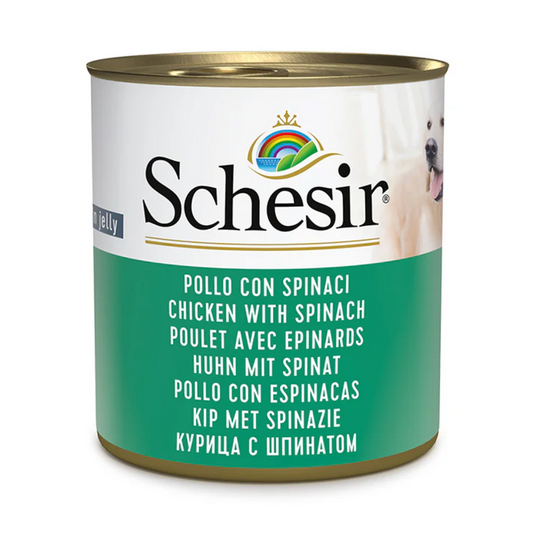 Schesir Dog Wet Food in Jelly Chicken with Spinach | Complementary Food | Adult Dog | 285g