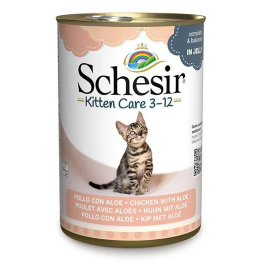 Schesir Kitten Care 3-12 Chicken with Aloe in Jelly | Complete & Balanced | Kitten Food | 6x140g