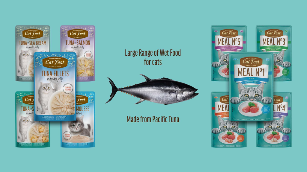 Cat Fest Meal No 3 Cat Food in Jelly - Tuna With Chicken | Premium Wet Cat Food (50g/12x50g)