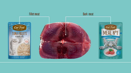 Cat Fest Meal No 3 Cat Food in Jelly - Tuna With Chicken | Premium Wet Cat Food (50g/12x50g)