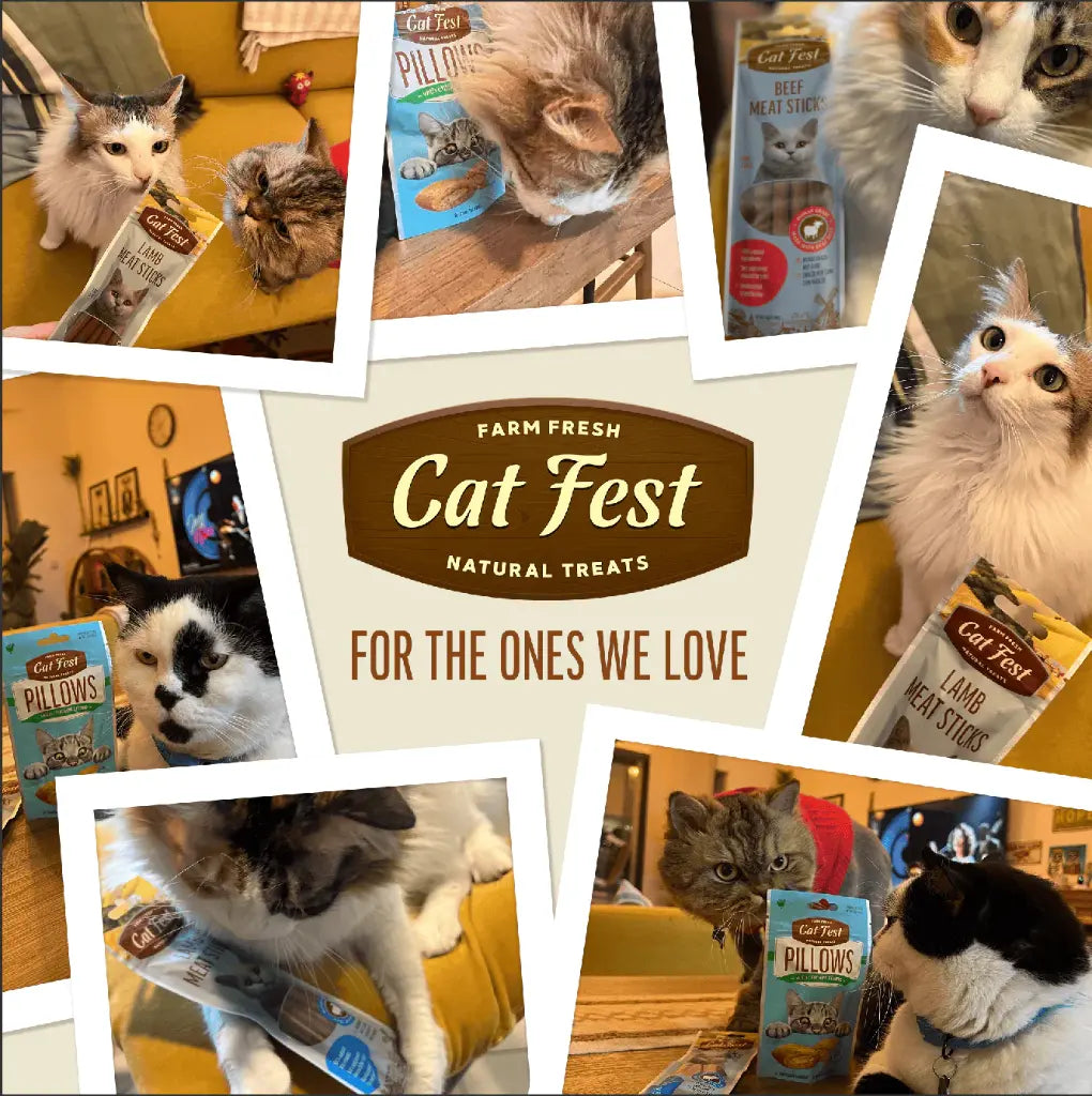 Cat Fest Meat Sticks Duck For Cat 45g | Slow-Baked Natural Duck Treats for Cats
