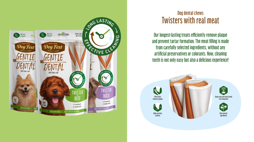Dog Fest Dental Treats Twister Beef 100g (14cm) | Long-Lasting Beef Chew for Adult Dogs