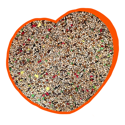 Duvo+ Budgie Mix 20kg | Premium Seed Blend for Budgerigars