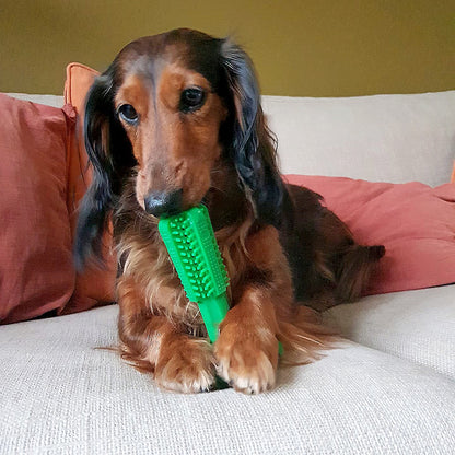 Duvo+ Chew 'n Play Brush Green Medium | Dual-Purpose Dental Chew Toy for Dogs