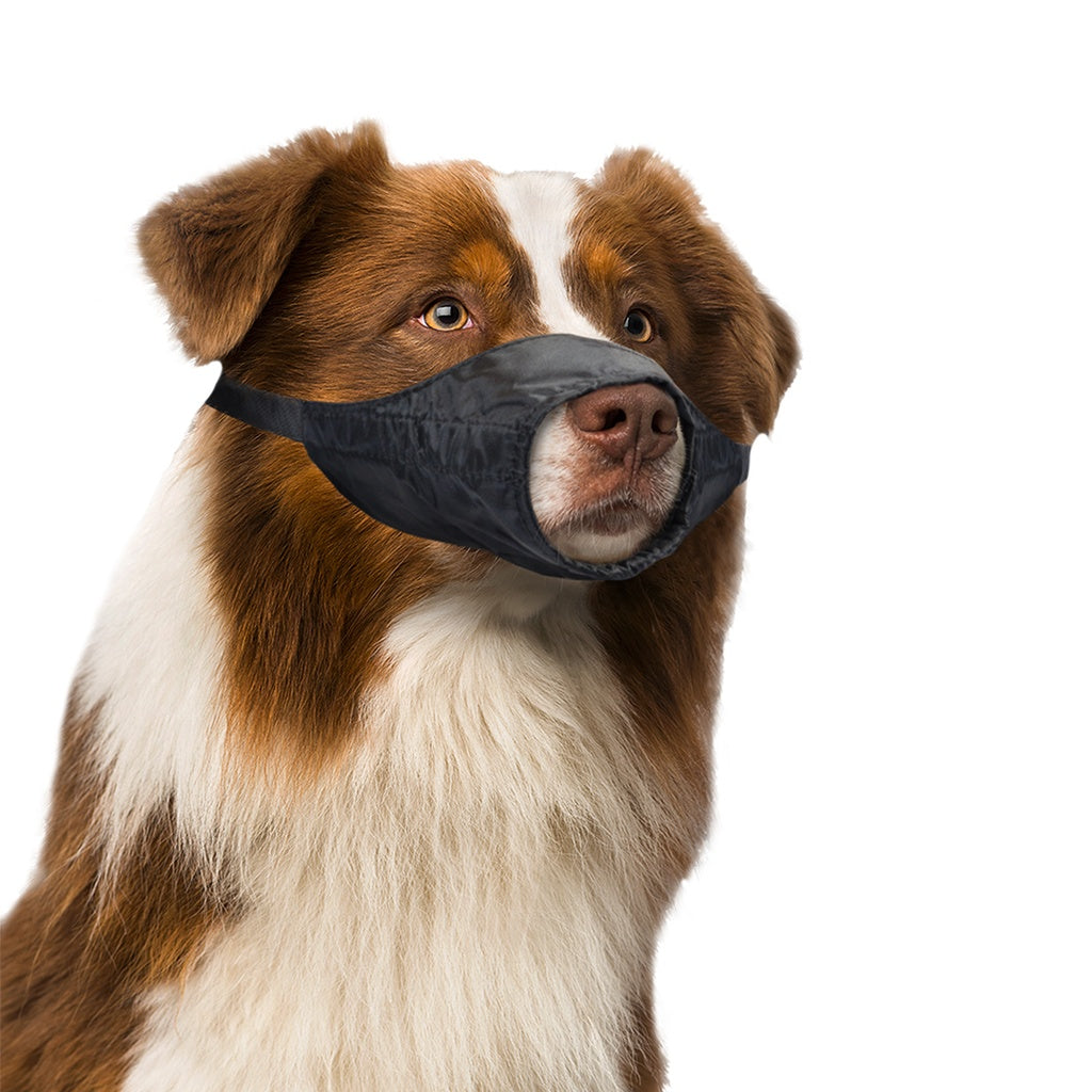 Duvo+ Dog Muzzle Nylon M 53-77cm | Adjustable Training Muzzle for Medium Dogs