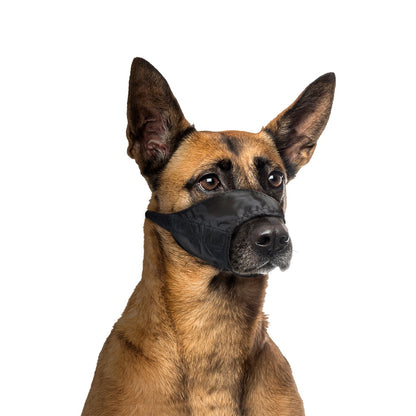 Duvo+ Dog Muzzle Nylon L 62-90cm | Lightweight Training Muzzle for Large Dogs