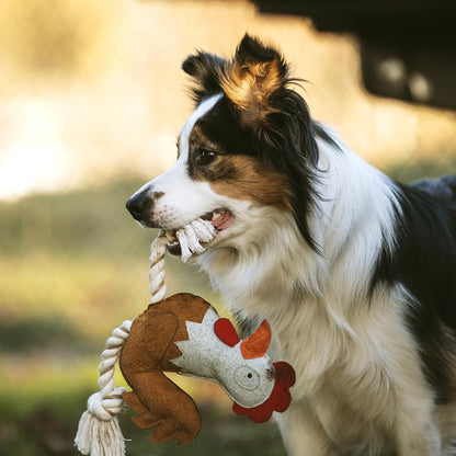 Duvo+ Farm Friends Ruby Rooster Dog Toy 37cm | Durable Farm Animal Squeaky Toy