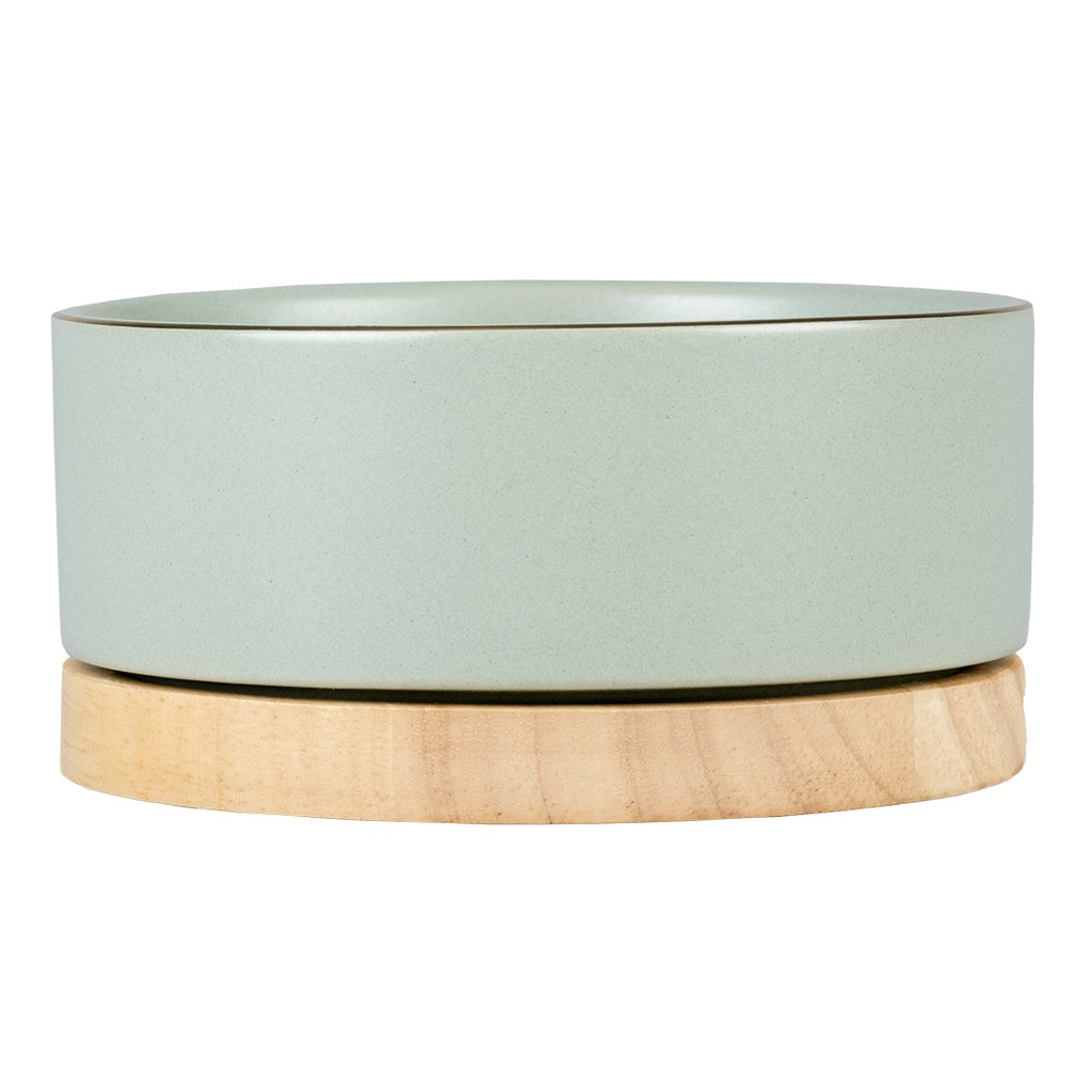 Duvo+ Feeding Bowl Stone Timber 450ml Green | Rustic Ceramic Bowl for Dogs & Cats