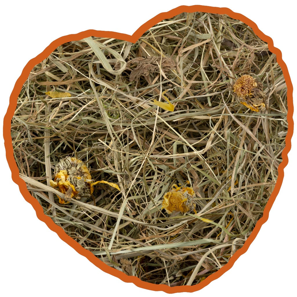 Duvo+ Herbal Hay Dandelion 500g | Natural Dandelion Hay for Rabbits & Rodents