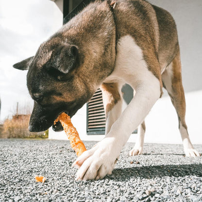 Duvo+ Meat! Chicken & Rawhide Sticks Large 25cm (2 Sticks) | Natural Dog Chews