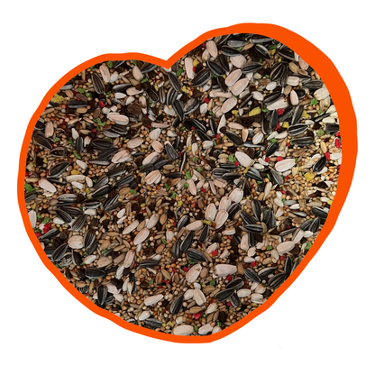 Duvo+ Parakeet Mix 15kg | Complete Seed Blend for Parakeets