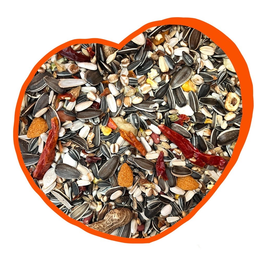 Duvo+ Parrot Mix With Fruit 12.5kg | Premium Seed & Fruit Blend for Parrots