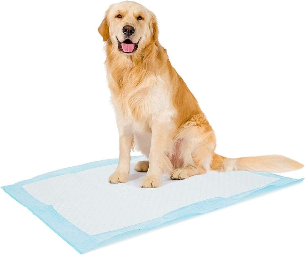 Duvo+ Pet Pad Premium Week Pack XL 60x60cm 7pcs | Large Premium Puppy Pads