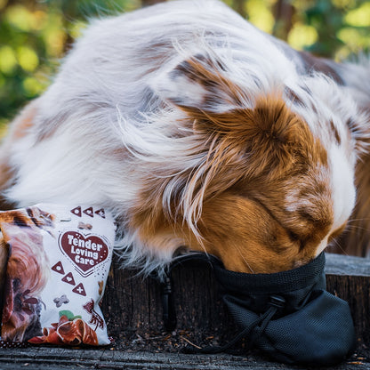 Duvo+ Soft Snack Salmon 100g | Salmon & Chicken Training Treats for Dogs