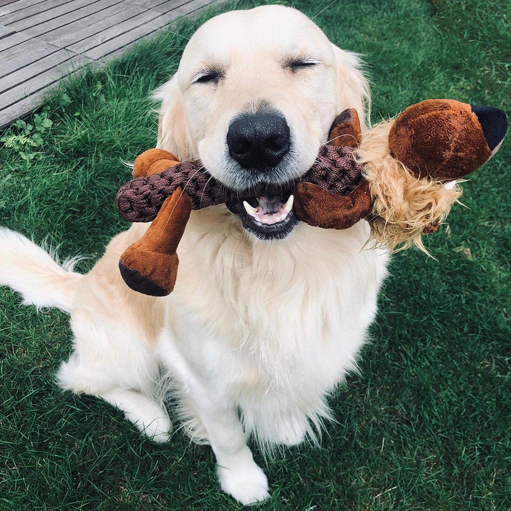 Duvo+ Zoo Friends Leo Lion Stick Brown | Plush Lion Toy with Rope for Dogs