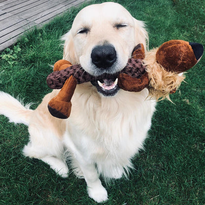 Duvo+ Zoo Friends Leo Lion Stick Brown | Plush Lion Toy with Rope for Dogs