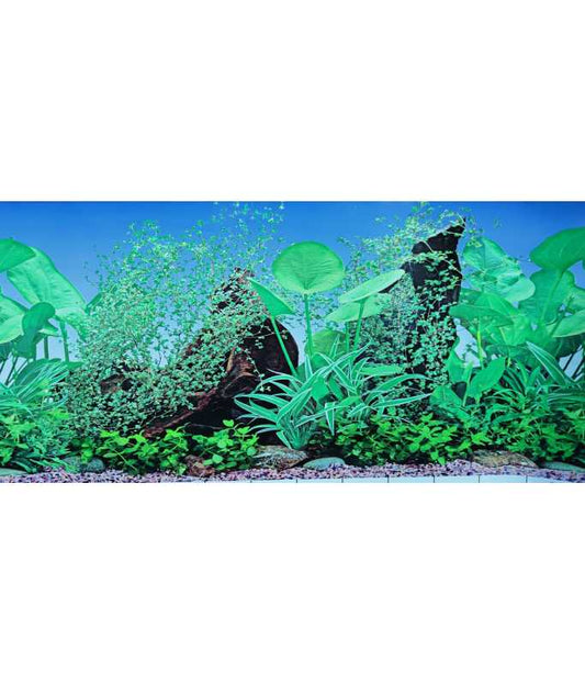 KW Zone Aquarium Backscreen F8 | Decorative Aquarium Background Picture | 12 Inch × 15m Fish Tank Background Roll