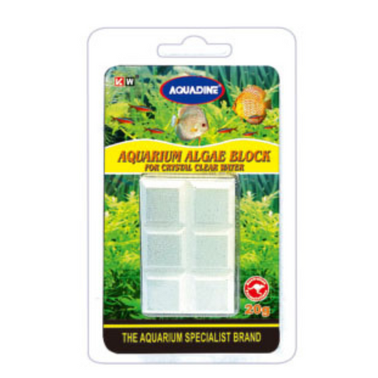 KW Zone Algae Block Fish Food | Bottom Feeder & Algae-Eating Fish | Nutritious Daily Feed | 20g