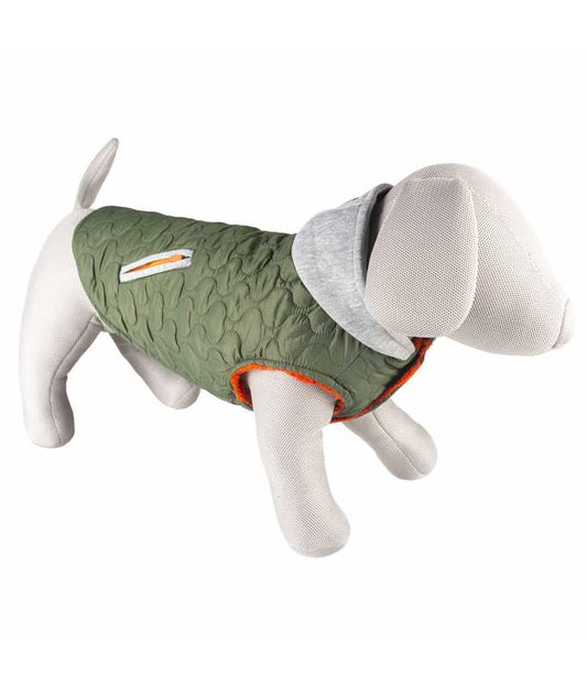 Duvo+ Dog Jacket Urban XL 70cm Grey/Green | Water-Resistant Winter Coat for Large Dogs