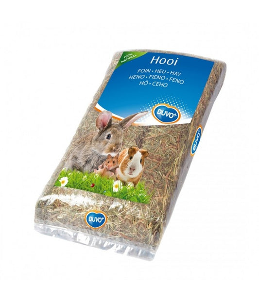 Duvo+ Fino Hay 1kg | Natural Meadow Hay for Small Pets