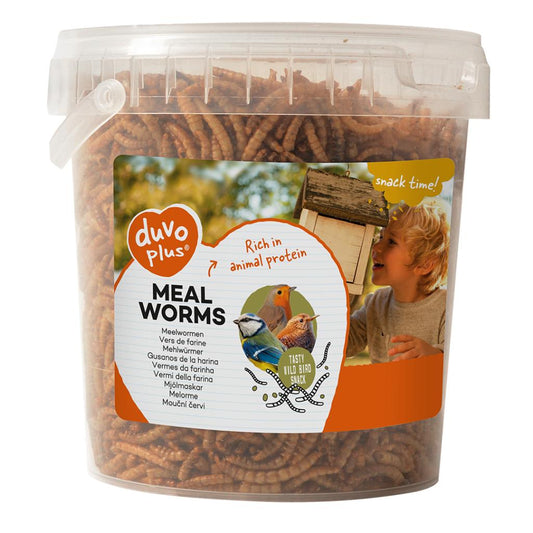 Duvo+ Meal Worms Bucket 200g | High-Protein Treat for Birds, Hedgehogs & Reptiles