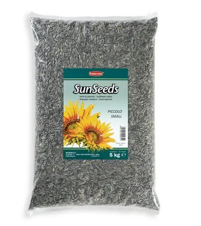 Padovan Sunseeds Medium 5kg | Premium Sunflower Seeds for Birds
