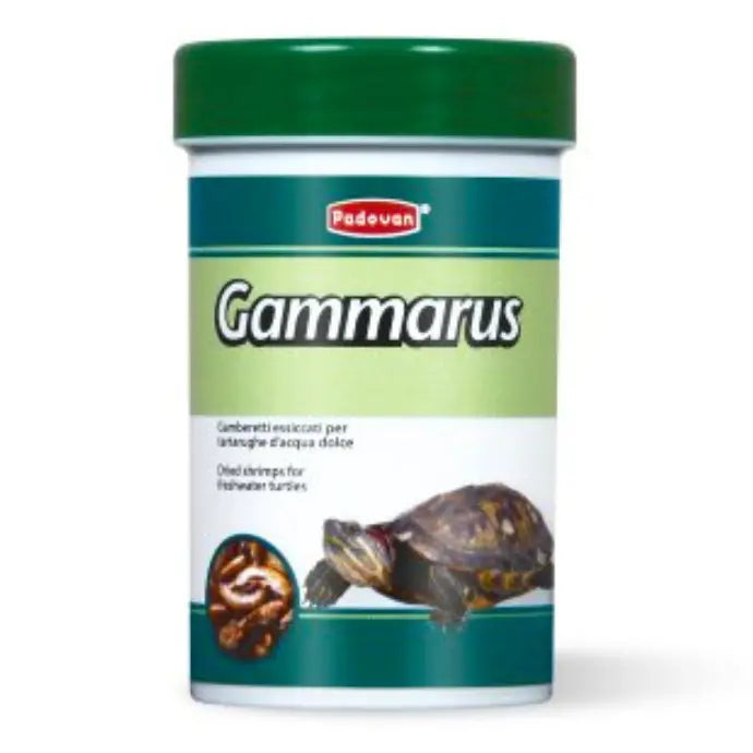 Padovan Gammarus 100ml (12g) | Natural Dried Shrimp Snack for Turtles & Reptiles