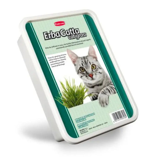 Padovan Erbagatto Cat Grass | Indoor Grass Kit for Hairball Elimination