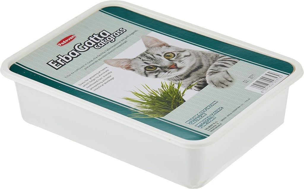 Padovan Erbagatto Cat Grass | Indoor Grass Kit for Hairball Elimination