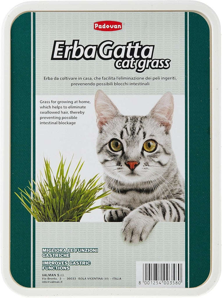 Padovan Erbagatto Cat Grass | Indoor Grass Kit for Hairball Elimination