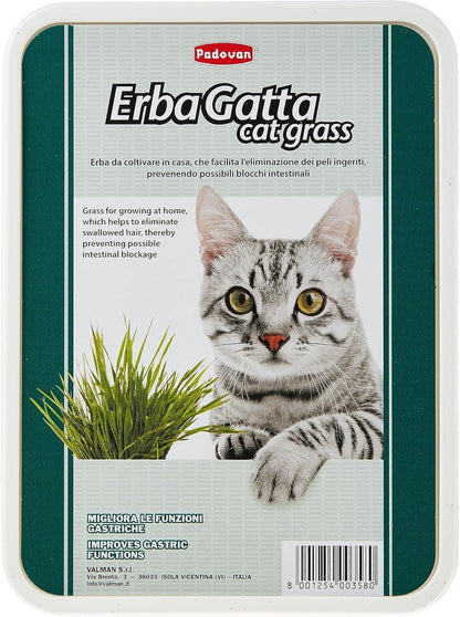 Padovan Erbagatto Cat Grass | Indoor Grass Kit for Hairball Elimination