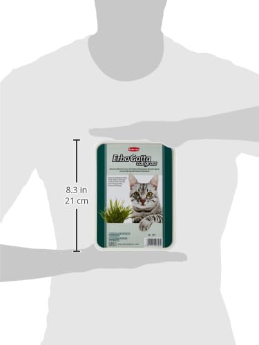 Padovan Erbagatto Cat Grass | Indoor Grass Kit for Hairball Elimination